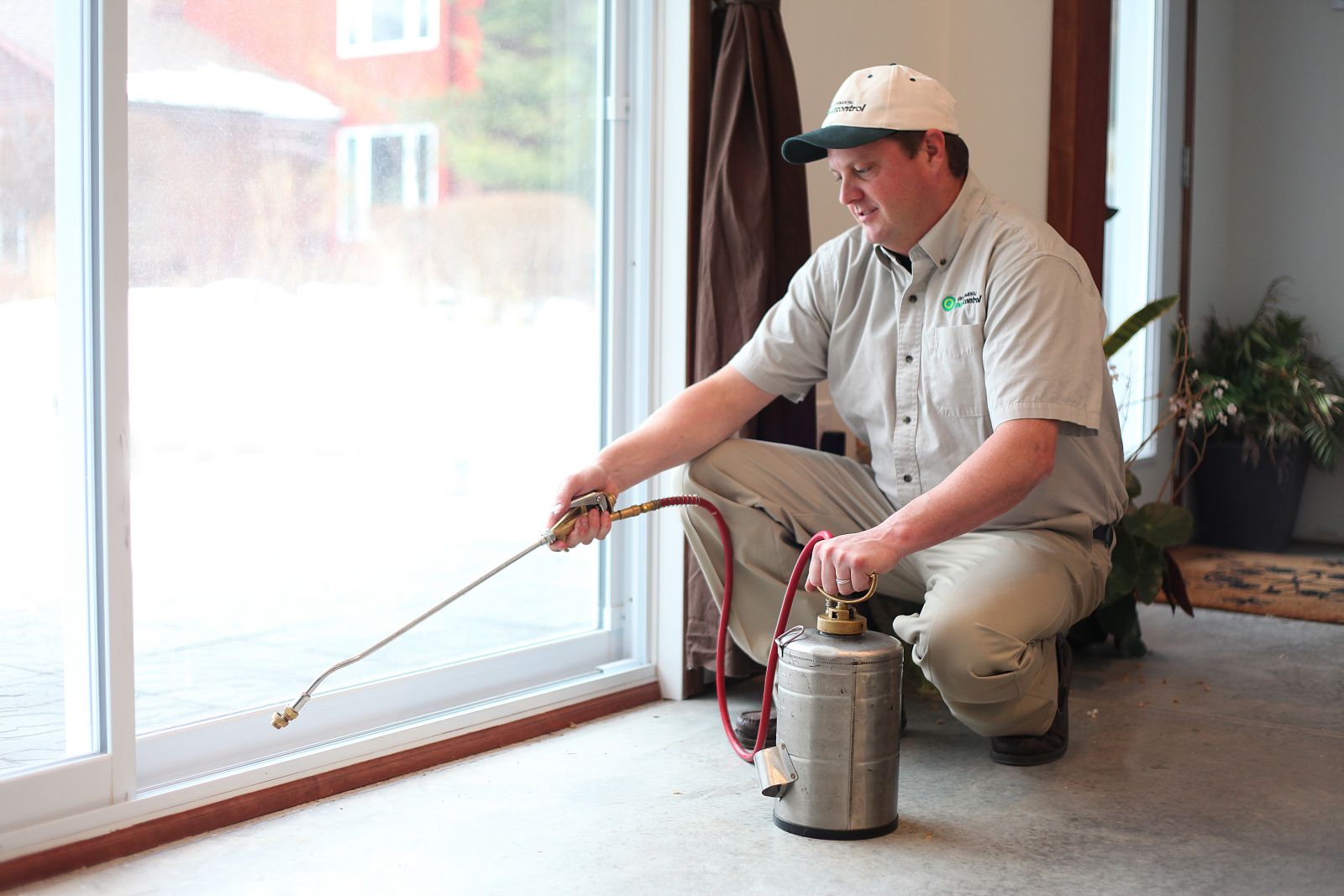 Safe Pest Control: Promoting Responsible Consumption