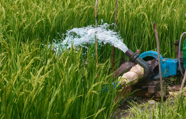 Types of Irrigation Systems Explained: Surface, Drip, and Sprinkler