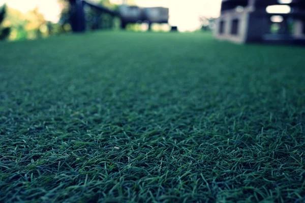 Scottsdale Artificial Grass: The Key to a Perfect Lawn Without the Work