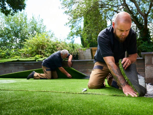 Affordable Artificial Grass in Chandler Apex Turf Has You Covered