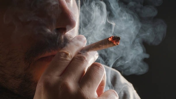 Choose a Reliable Head Shop for High-Quality Smoking Gear